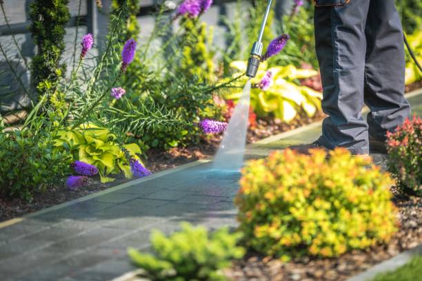 Professional Pressure Washing Services in Gananda, NY